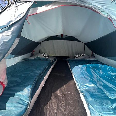 The Esn Kingsday Campsite أمستردام المظهر الخارجي الصورة